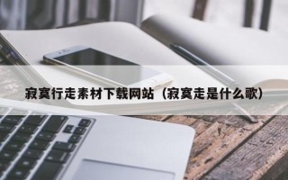 郑州寂寞行走素材下载网站（寂寞走是什么歌）